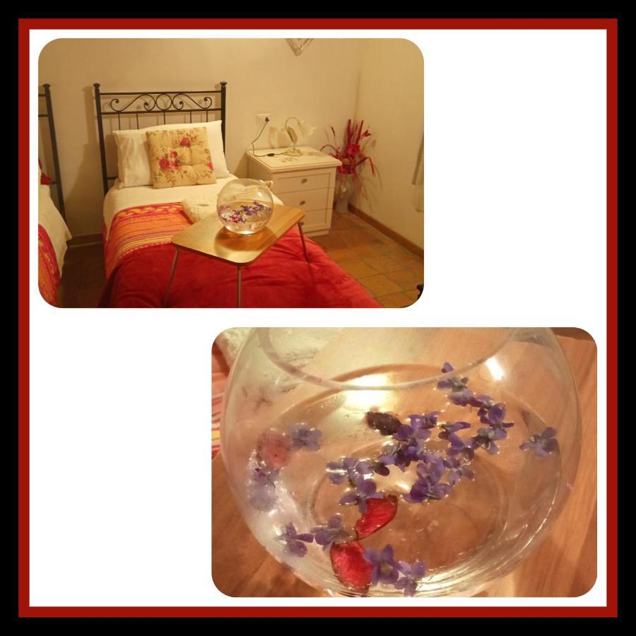 Felix House Bed & Breakfast Codevilla Eksteriør bilde
